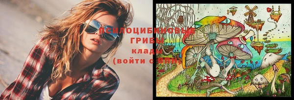 твердый Балахна