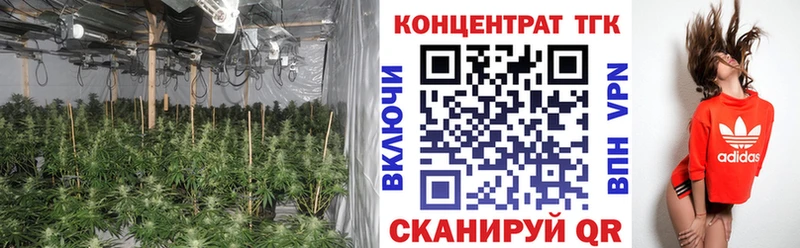 ТГК THC oil Ясногорск