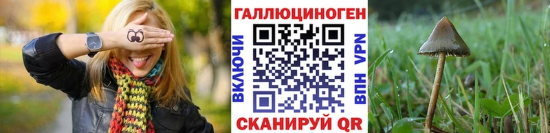 Галлюциногенные грибы Psilocybine cubensis  Ясногорск 